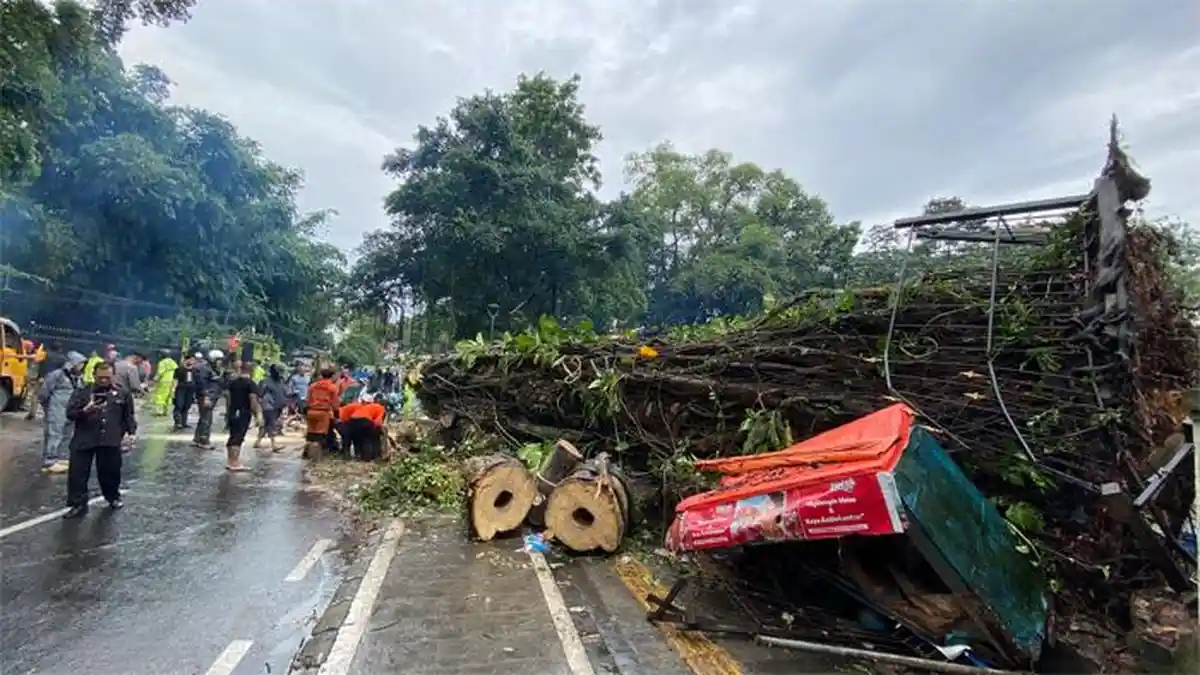 Warung Kopi di Jalan Ir Juanda: Saingan Rival Saat Citimall Datang